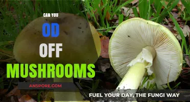 Can You Overdose on Mushrooms? Risks and Safety Explained
