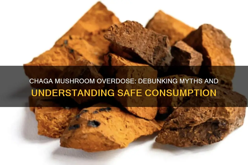 can you od on chaga mushrooms