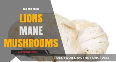 Can You Overdose on Lion's Mane Mushrooms? Safety Explained