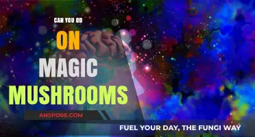 Magic Mushrooms Overdose: Risks, Symptoms, and Safety Precautions Explained