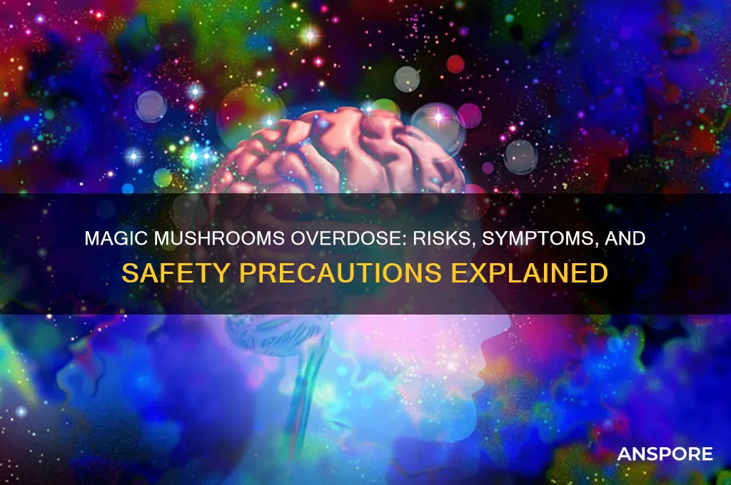 can you od on magic mushrooms