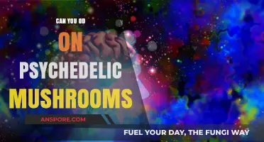 Psychedelic Mushrooms Overdose: Risks, Symptoms, and Safety Tips