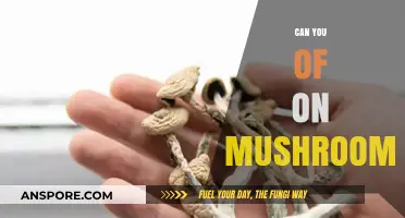Exploring the Effects and Risks of Consuming Mushrooms: What You Need to Know