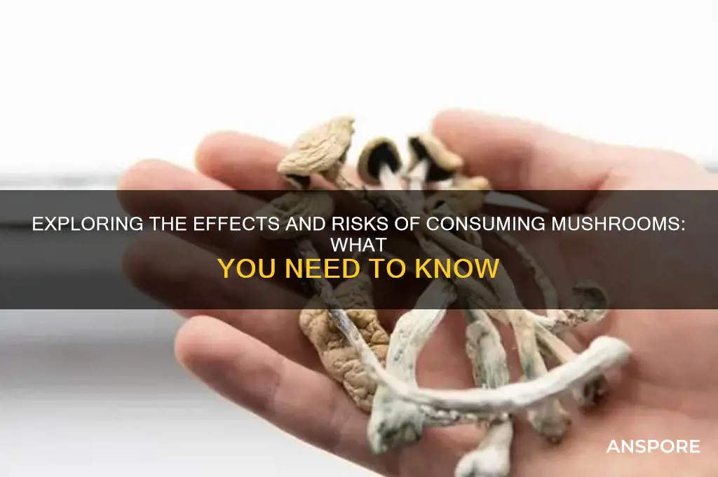 can you of on mushrooms