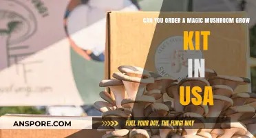 Is It Legal to Buy Magic Mushroom Grow Kits in the USA?