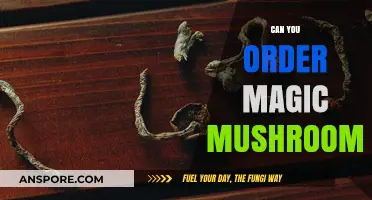 Exploring the Legality of Ordering Magic Mushrooms Online