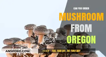 Ordering Mushrooms from Oregon: Legalities, Options, and Delivery Details