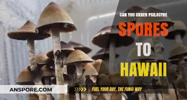 Ordering Psilocybe Spores to Hawaii: Legalities and Shipping Insights