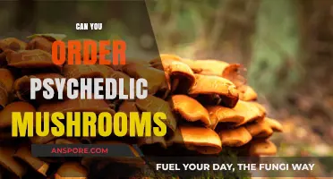 Exploring the Legality of Ordering Psychedelic Mushrooms Online