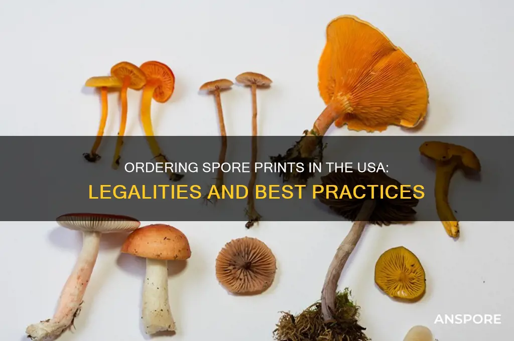 can you order spore prints usa