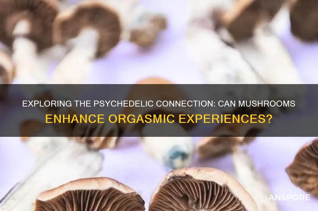 can you orgasm on mushrooms