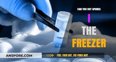 Freezing Spores: Effective Preservation Method or Risky Storage Practice?