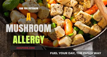 Outgrowing Mushroom Allergies: Is It Possible and What to Know