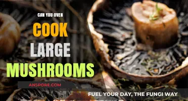 Oven-Cooked Large Mushrooms: Tips for Perfectly Roasted Portobellos