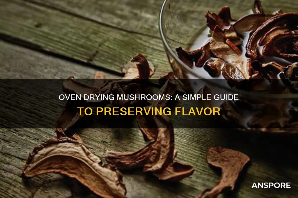 can you oven dry mushrooms