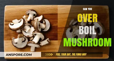 Over Boiling Mushrooms: Risks, Myths, and Perfect Cooking Techniques