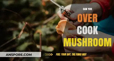 Overcooking Mushrooms: Risks, Tips, and Perfect Cooking Techniques Explained
