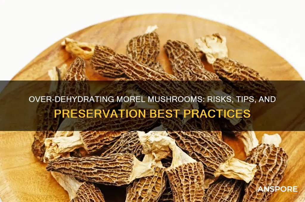 can you over dehydrate morel mushrooms