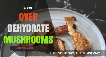 Over-Dehydrating Mushrooms: Risks, Signs, and Prevention Tips