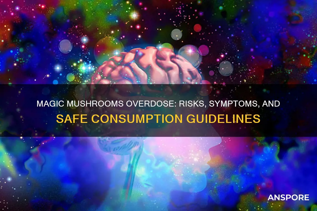 can you over dose on magic mushrooms