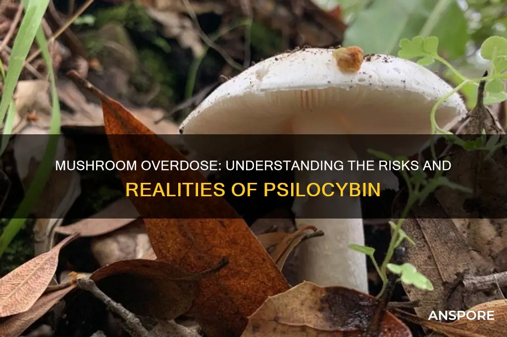 can you over dose on mushrooms