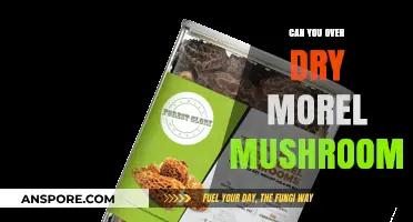 Over-Drying Morel Mushrooms: Risks, Tips, and Preservation Best Practices