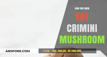 Can You Overeat Crimini Mushrooms? Health Benefits and Risks Explained
