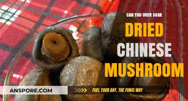 Over Soaking Dried Chinese Mushrooms: Risks, Tips, and Best Practices