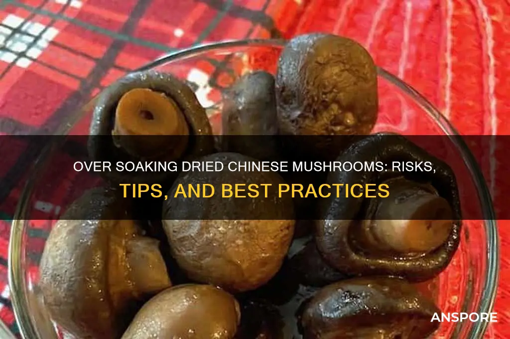 can you over soak dried chinese mushrooms
