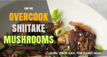Overcooking Shiitake Mushrooms: Risks, Tips, and Perfect Cooking Techniques
