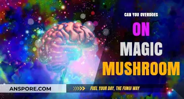 Magic Mushrooms Overdose: Risks, Symptoms, and Safe Consumption Guidelines