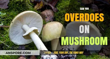 Can You Overdose on Mushrooms? Risks, Symptoms, and Safety Tips