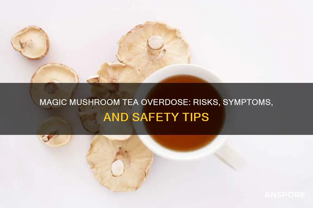 can you overdose from magic mushroom tea