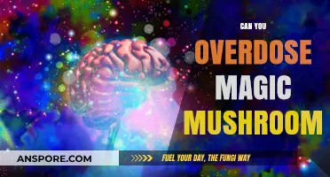 Magic Mushrooms Overdose: Risks, Symptoms, and Safety Precautions Explained