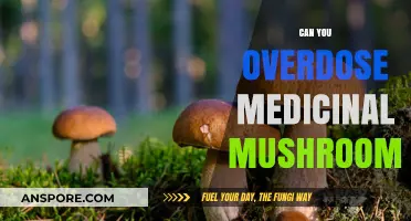 Medicinal Mushrooms: Understanding Safe Dosage and Overdose Risks