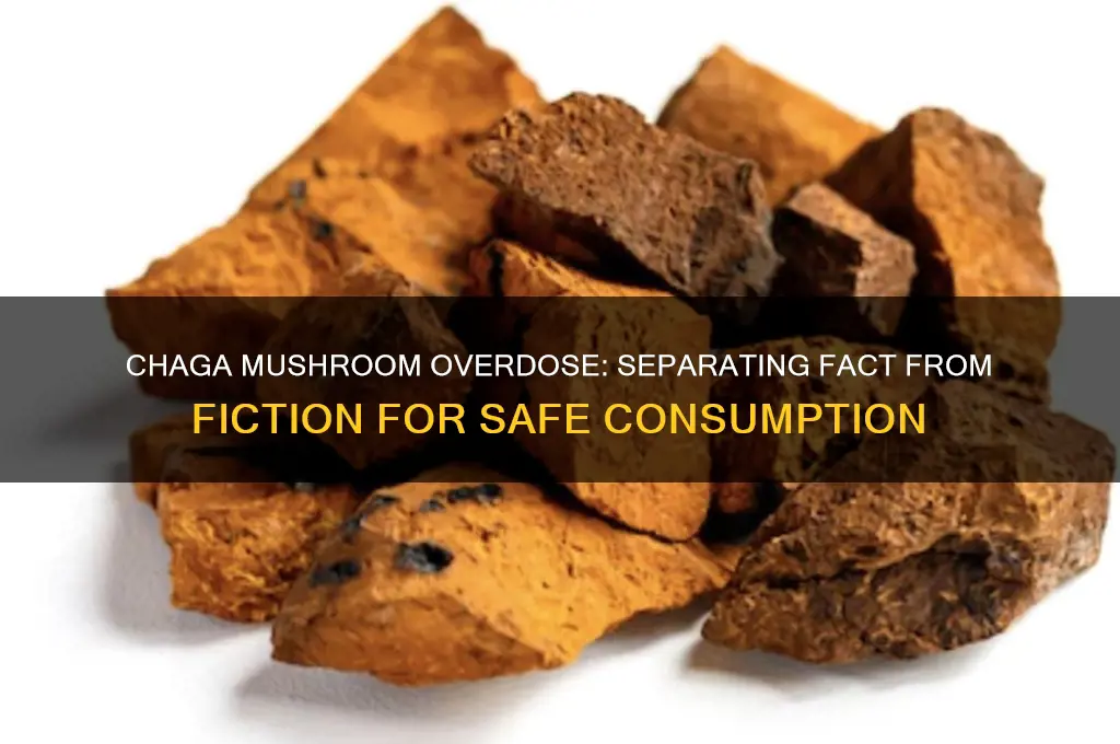 can you overdose on chaga mushrooms