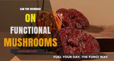 Functional Mushrooms Overdose: Risks, Safety, and Responsible Consumption Explained