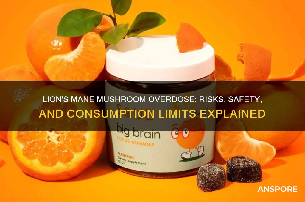 can you overdose on lion