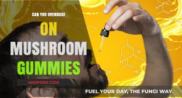 Mushroom Gummies Overdose: Risks, Symptoms, and Safe Consumption Tips