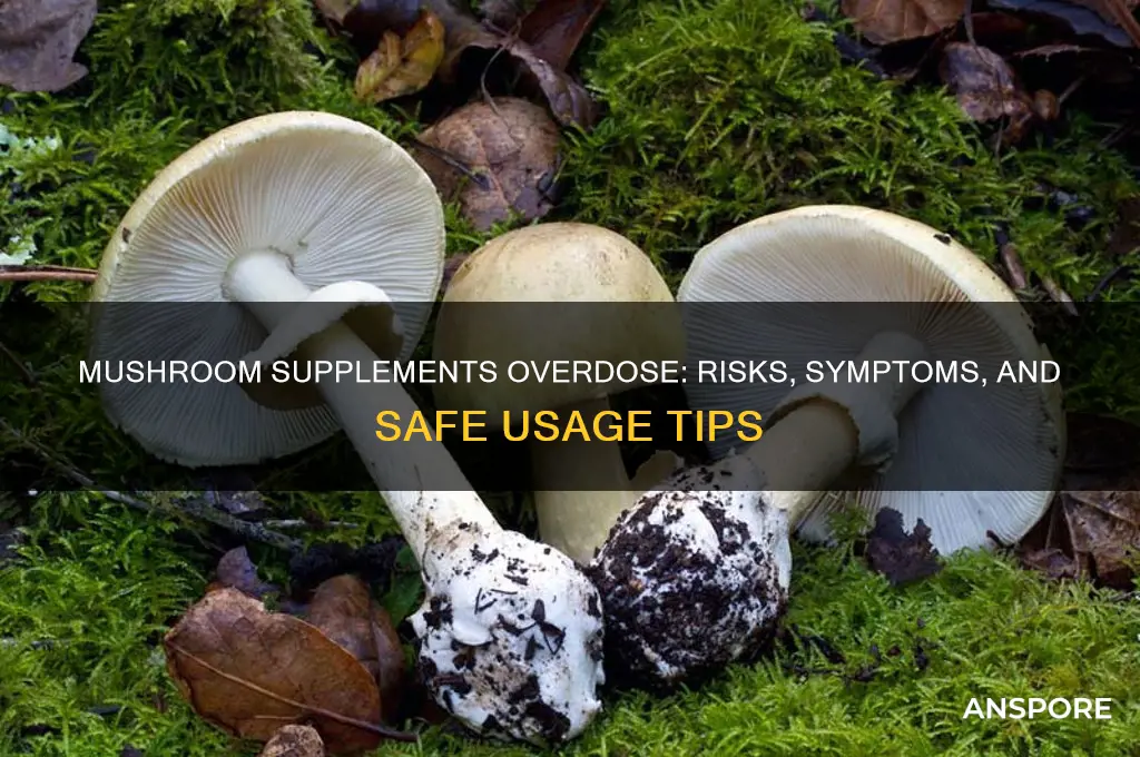 can you overdose on mushroom supplements