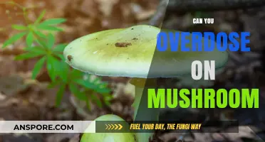 Mushroom Overdose Risks: Understanding Safe Consumption and Potential Dangers