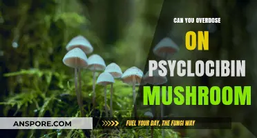 Psychedelic Safety: Understanding Psilocybin Mushroom Overdose Risks and Limits