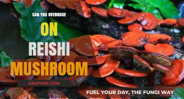Reishi Mushroom Overdose: Risks, Safety, and Proper Dosage Explained