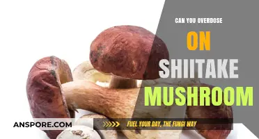 Shiitake Mushroom Overdose: Separating Fact from Fiction in Consumption
