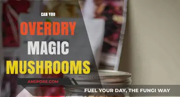 Overdrying Magic Mushrooms: Risks, Effects, and Preservation Tips