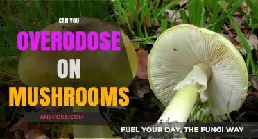 Mushroom Overdose: Understanding the Risks of Psilocybin Consumption