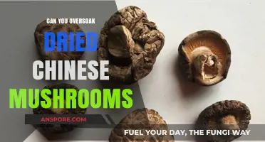 Oversoaking Dried Chinese Mushrooms: Risks, Tips, and Perfect Texture Guide