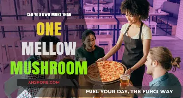 Owning Multiple Mellow Mushroom Franchises: Opportunities and Considerations