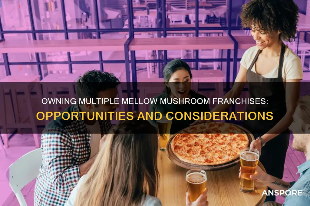 can you own more than one mellow mushroom