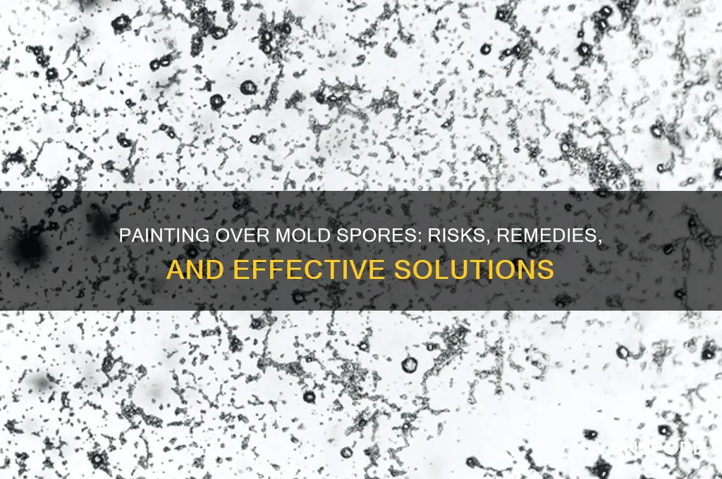 can you paint over mold spores